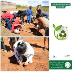 Culture maraîchère scolaire