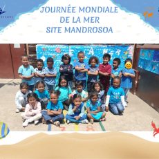 Journée mondiale de la mer - Primaire